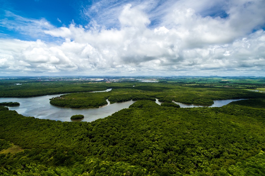 amazonia.jpg